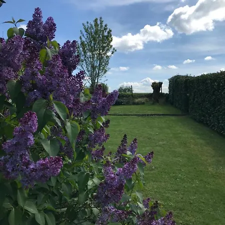 Ferienhaus Eindeloos Asselt *