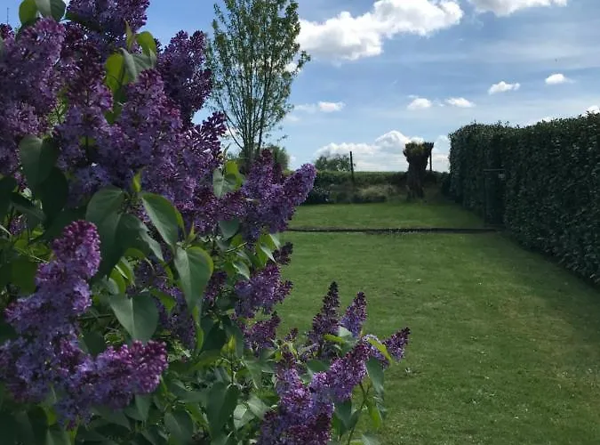 Дом отдыха Eindeloos Asselt *